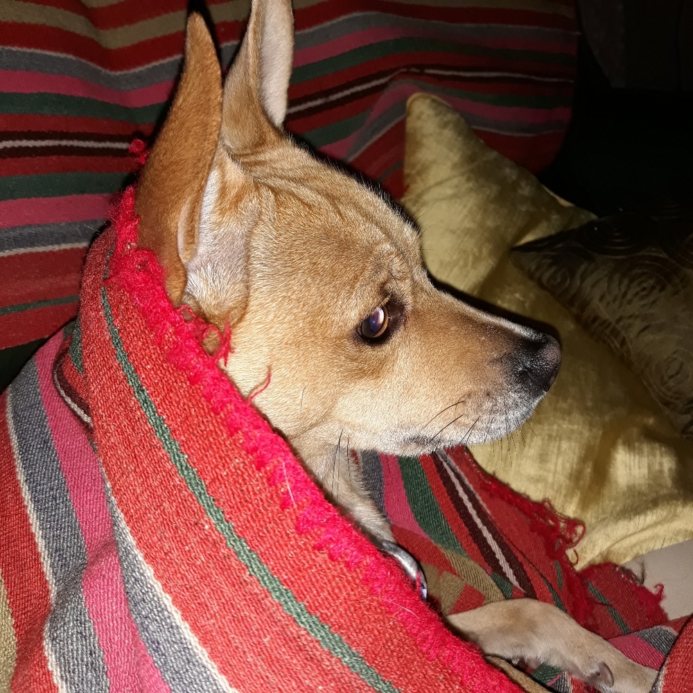My Baby!!